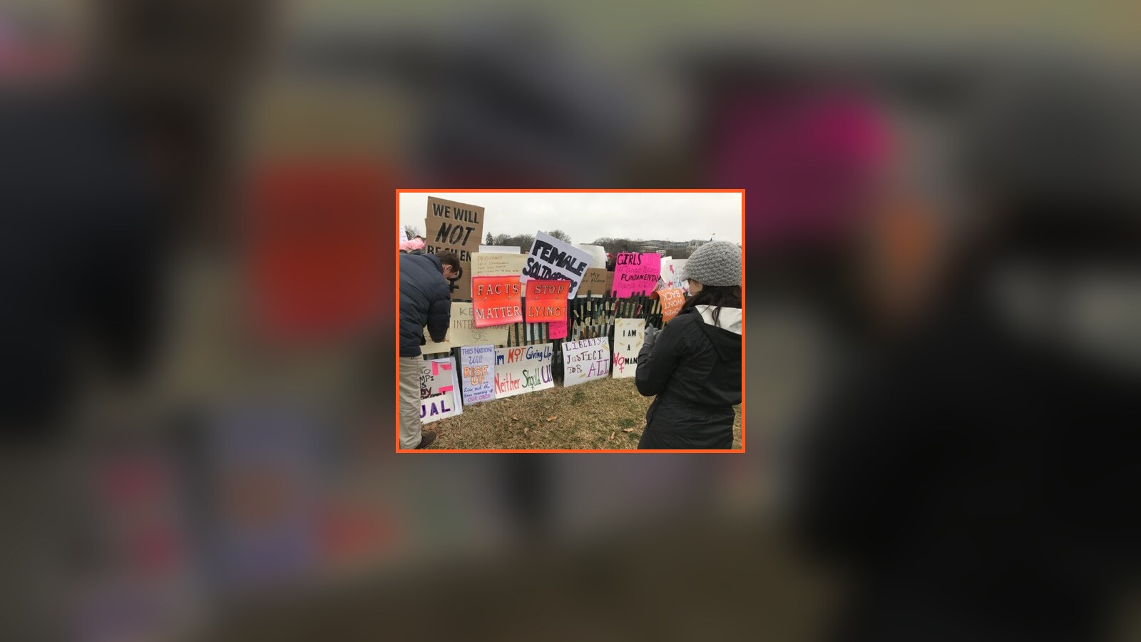 Amanda looking over a field of handmade signs at the Women's March in Washington, D.C.