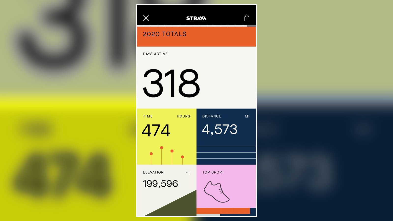 Chris Fischer's Strava 2020 totals showing 318 active days, 474 hours, and 4,573 miles