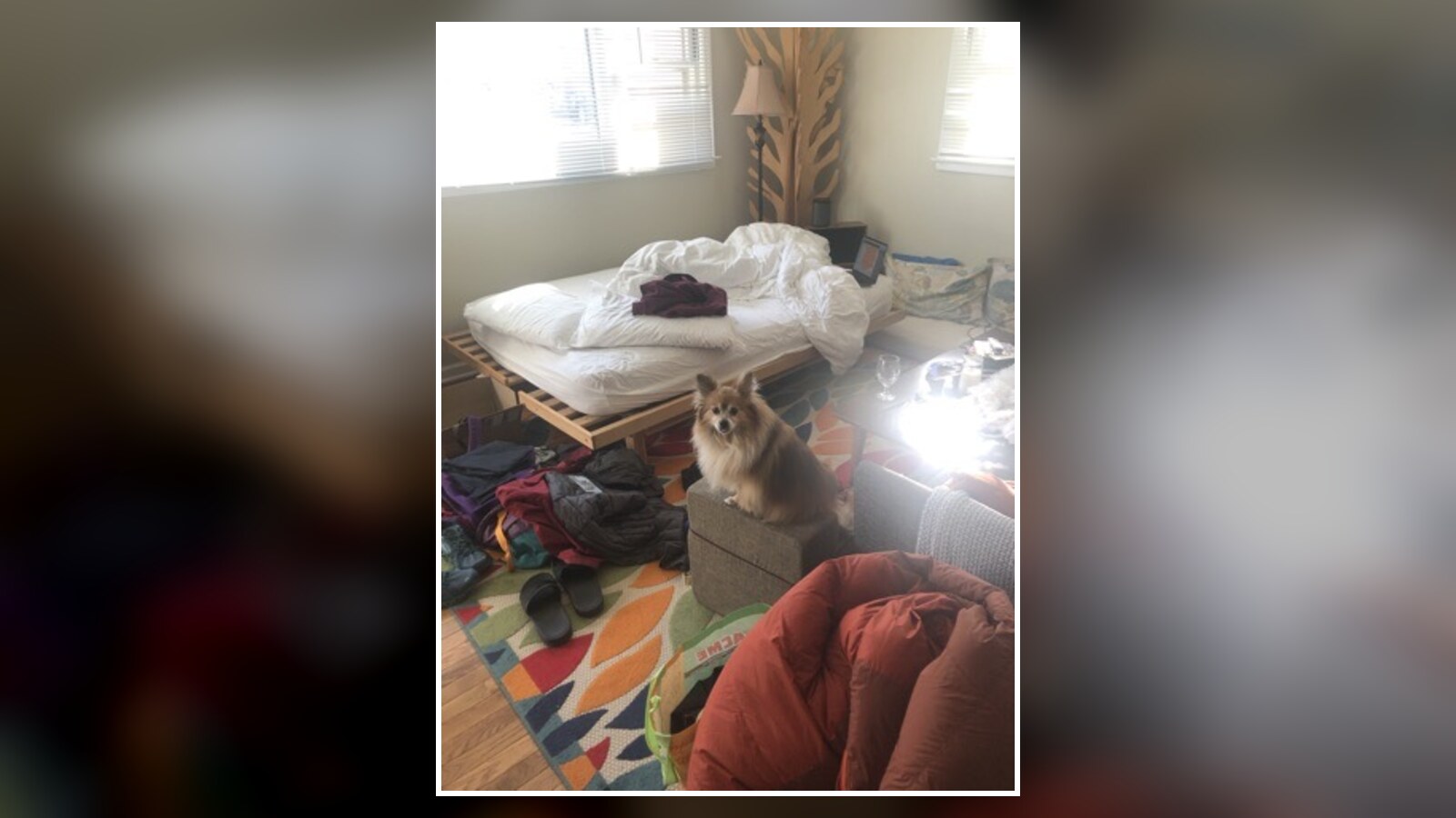 Eva sitting among bedding, clothes, bags, and boxes during the April 2021 move