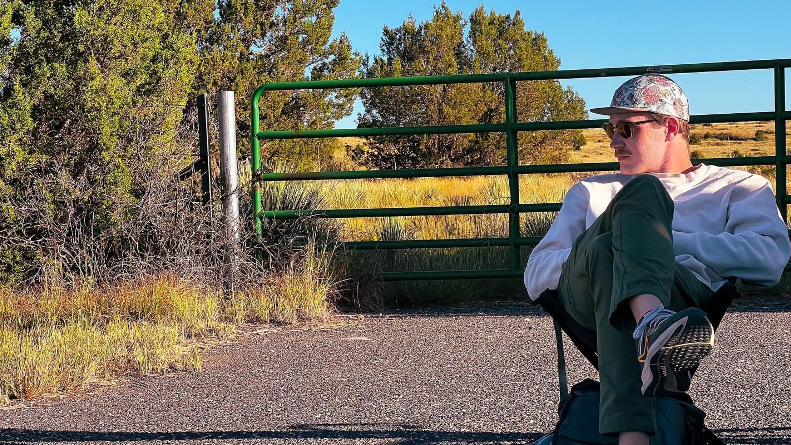 Big Ted taking a roadside break beside a green ranch gate
