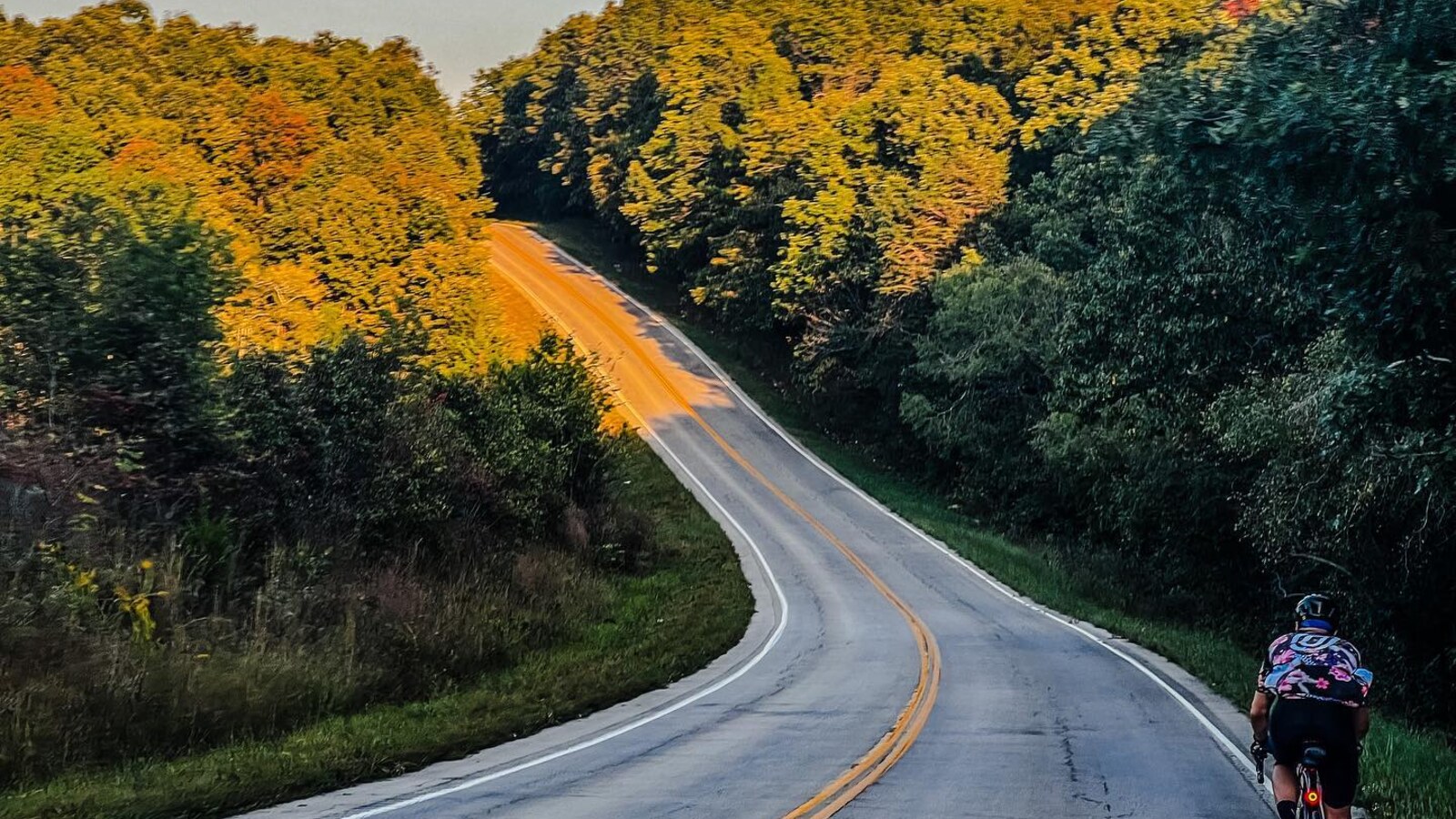A cyclist following a rolling two-lane road through the trees in Arkansas