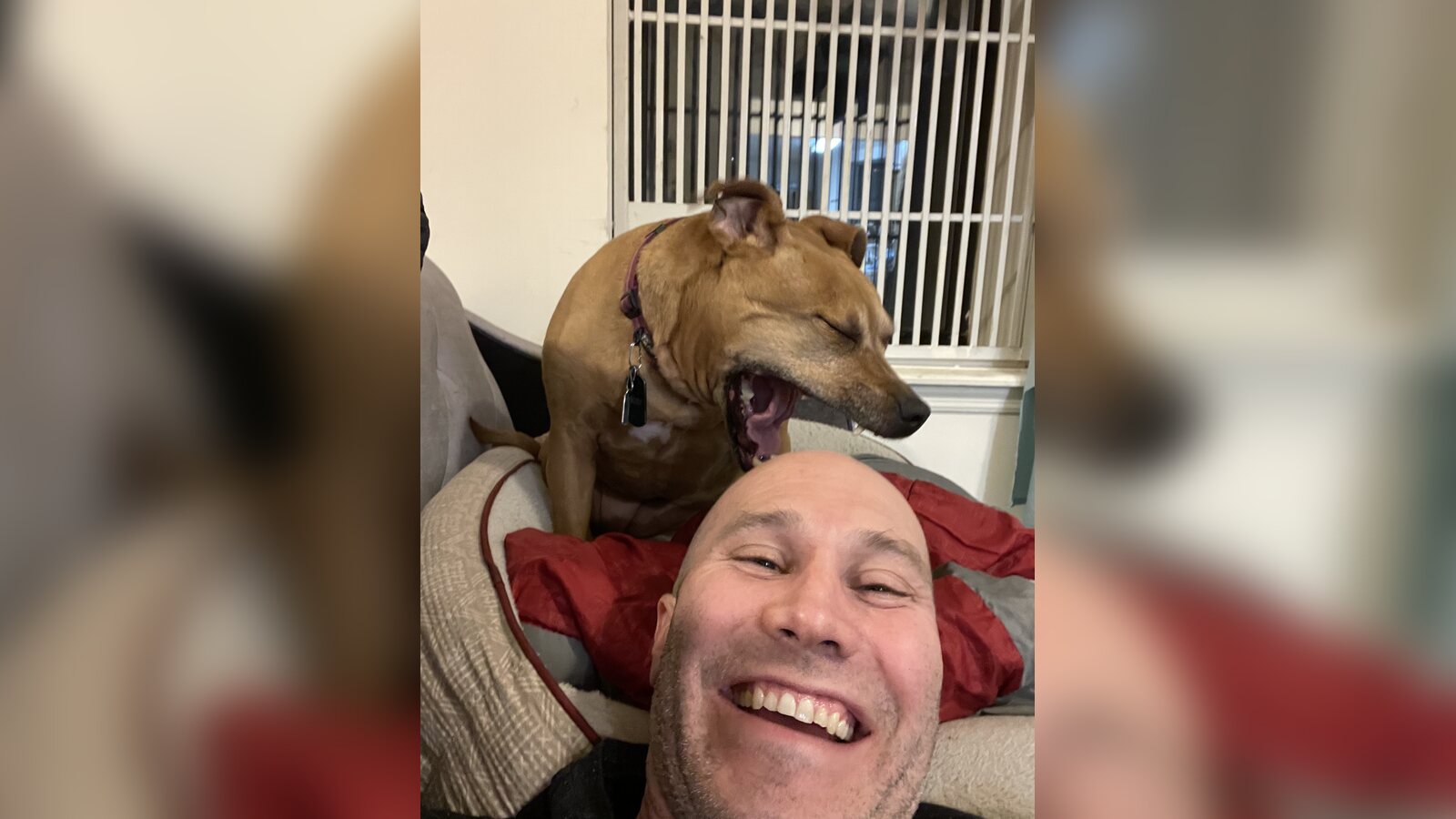 Chris smiling on the couch with Mona yawning behind his head during his shoulder recovery
